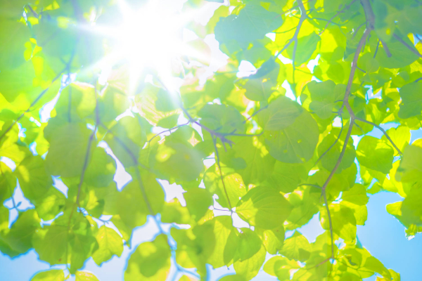 LearnABC BLOGのサムネイル