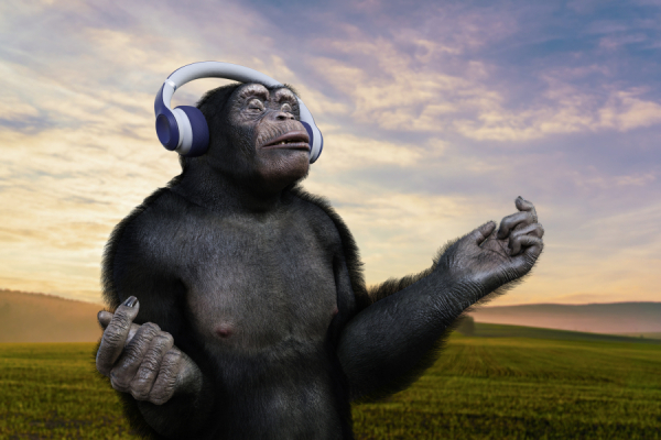 LearnABC BLOGのサムネイル