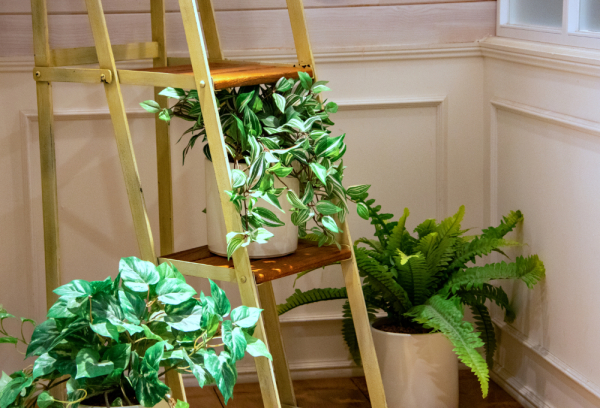 LearnABC BLOGのサムネイル